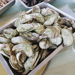 9.1成人免费版功能界面